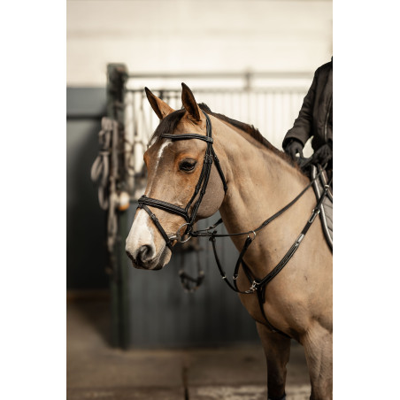 Milano Pro line Bridle