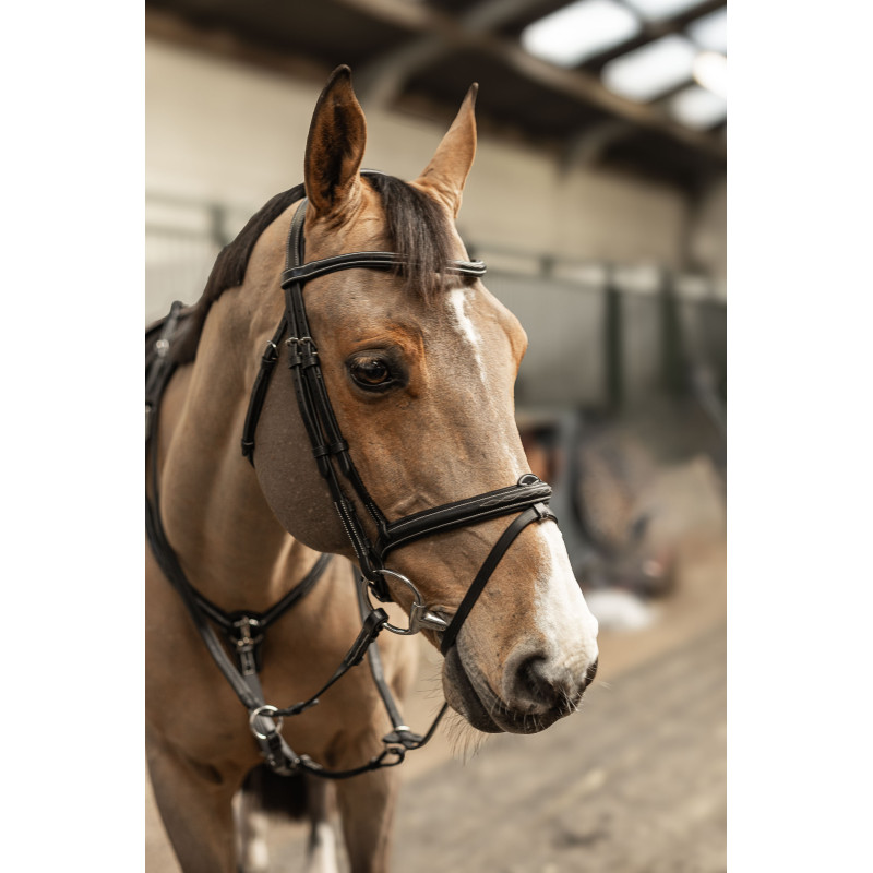 Milano Pro line Bridle