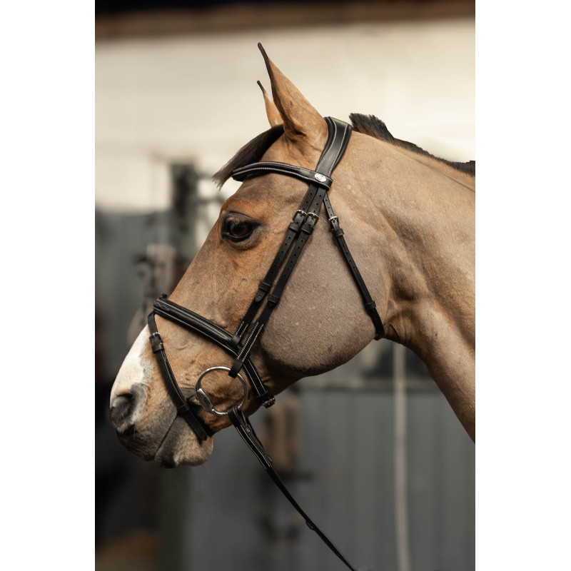 Milano Pro line Bridle