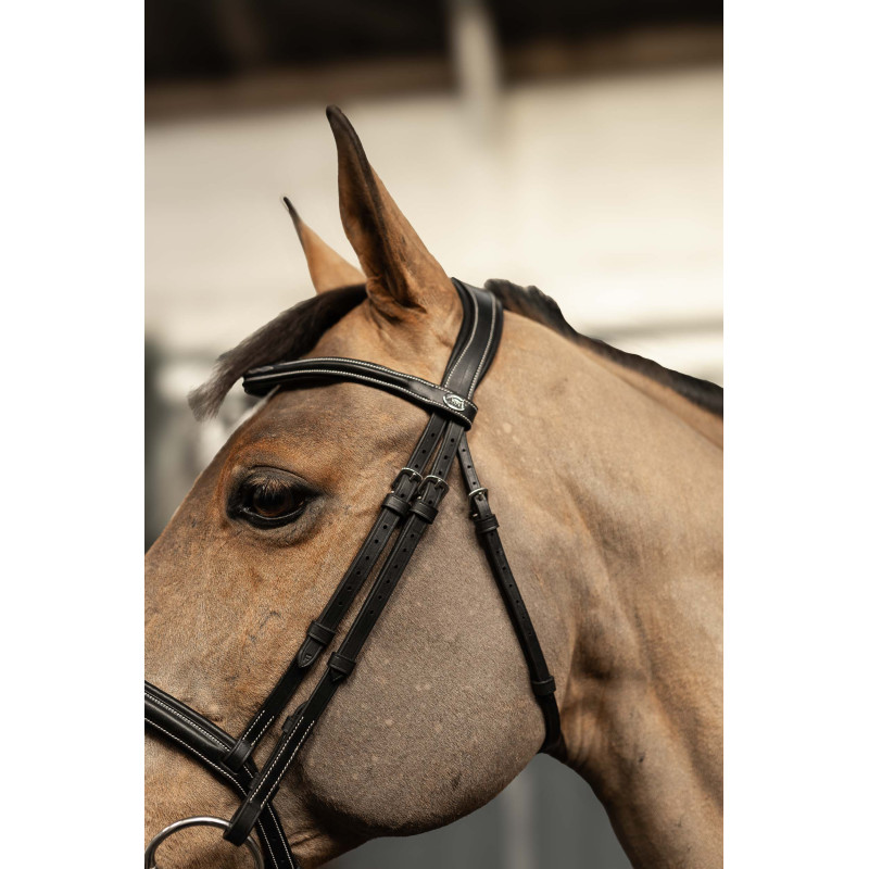 Milano Pro line Bridle