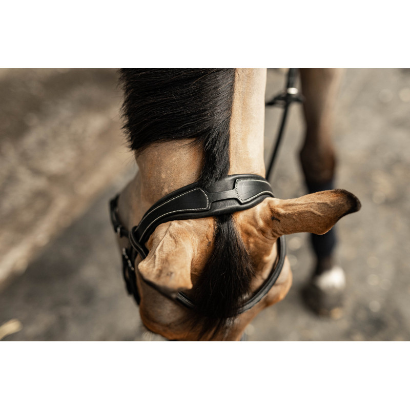 Milano Pro line Bridle - HFI