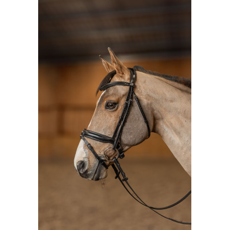Verona Pro line Bridle - HFI