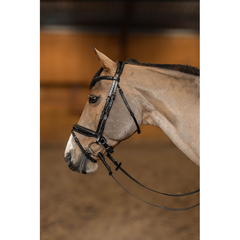 Verona Pro line Bridle - HFI