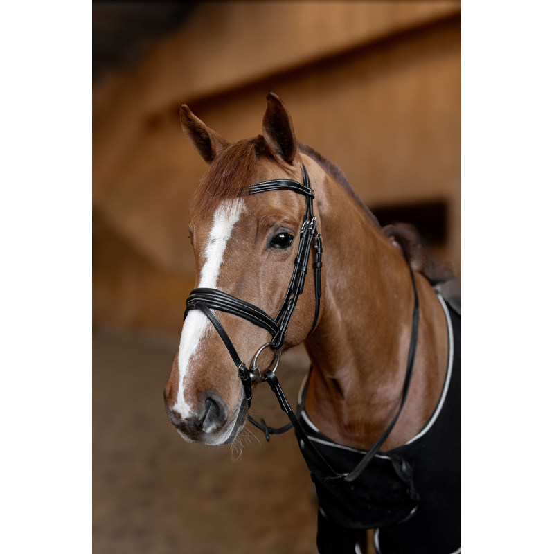 Padded Bridle - HFI