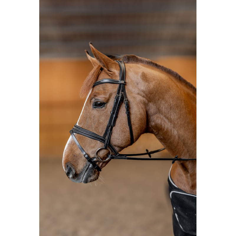 Padded Bridle - HFI