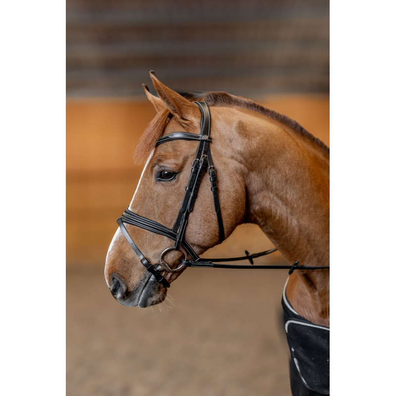 Padded Bridle - HFI