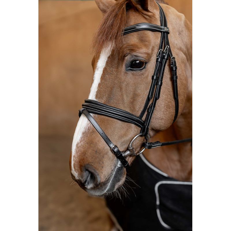 Padded Bridle - HFI