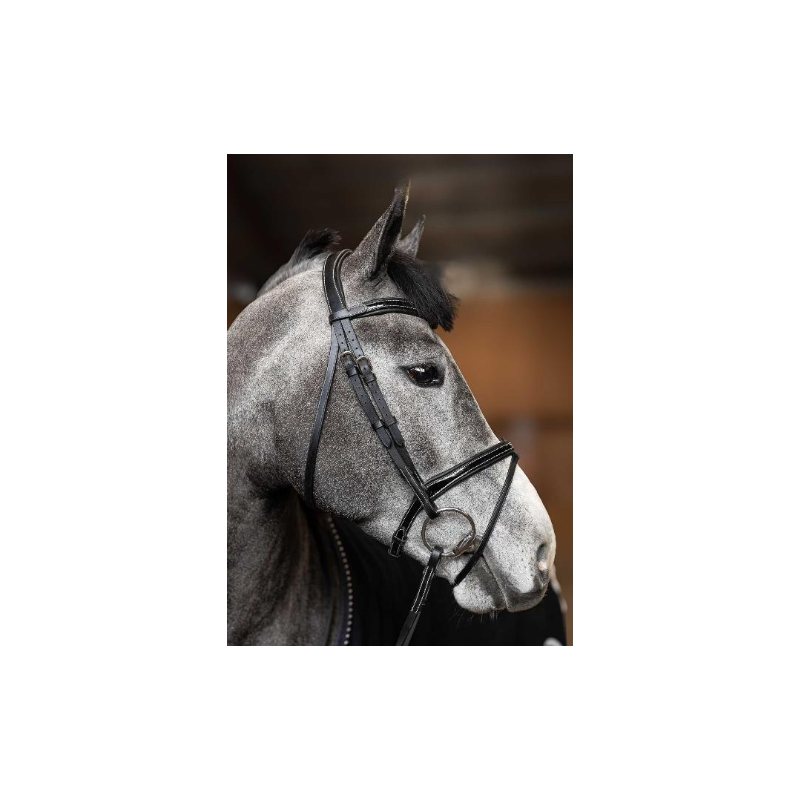 Painted Bridle