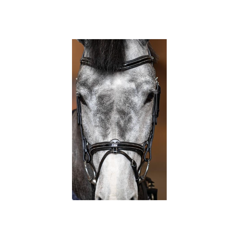 Painted Bridle