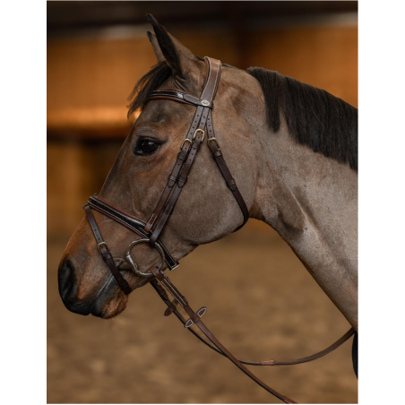 Painted Bridle