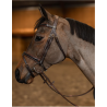 Painted Bridle