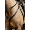Arezzo breastplate - Pro line