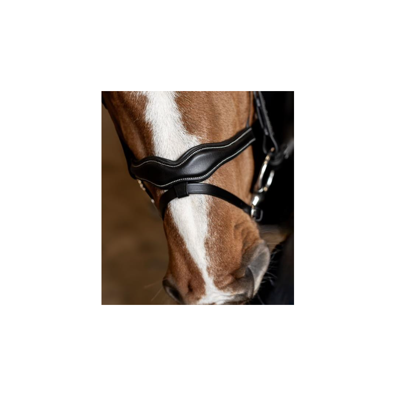 Wavy Bridle