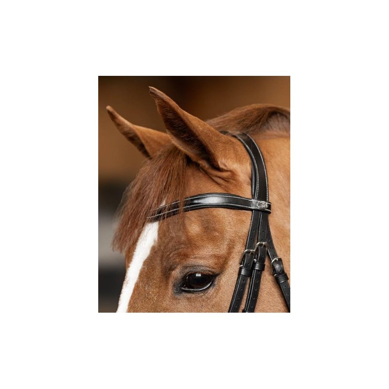 Wavy Bridle - HFI