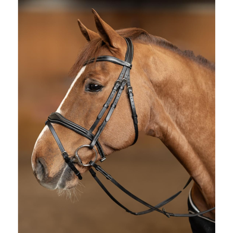 Wavy Bridle