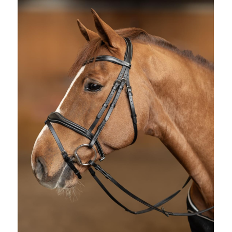 Wavy Bridle