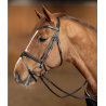 Wavy Bridle