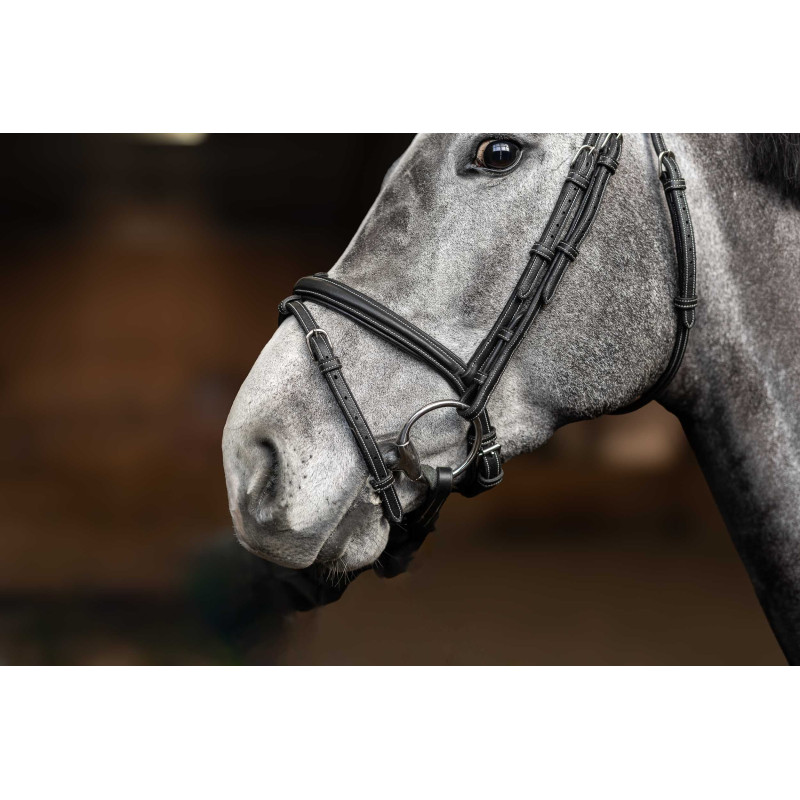 Flex Bridle