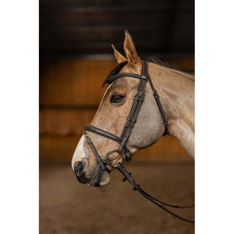 Flex Bridle