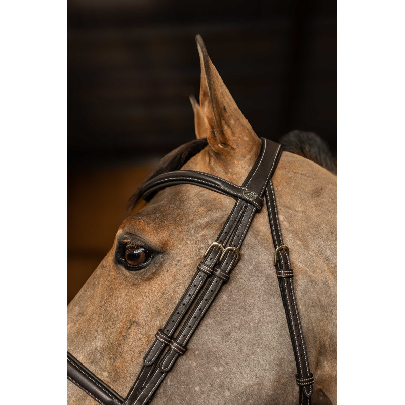 Flex Bridle