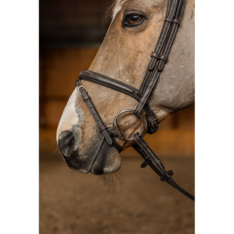 Flex Bridle