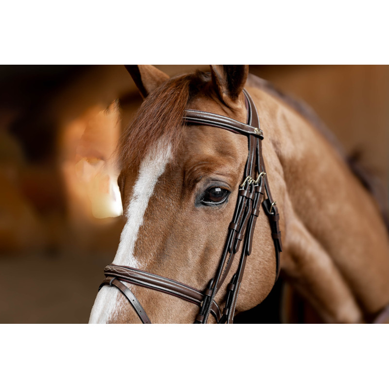 Double Jump dressage bridle  - HFI