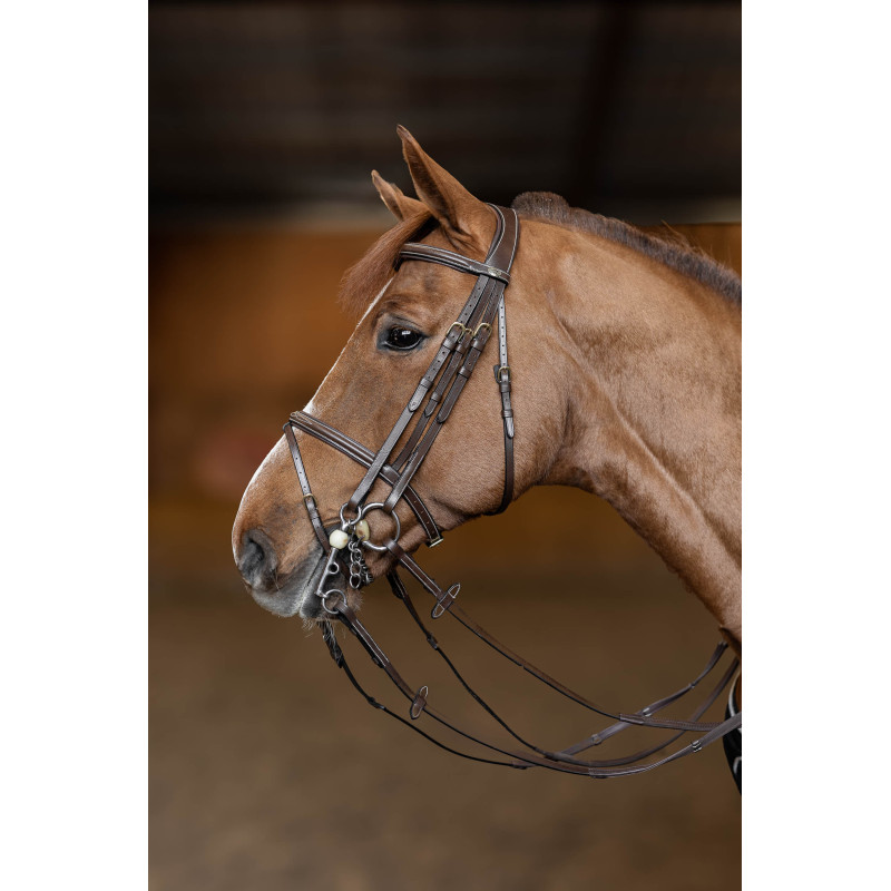 Double Jump dressage bridle  - HFI