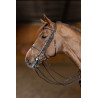 Double Jump dressage bridle  - HFI