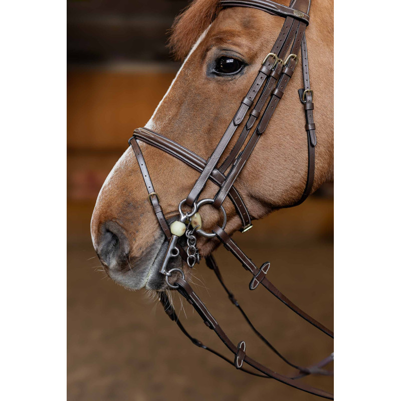 Double Jump dressage bridle  - HFI