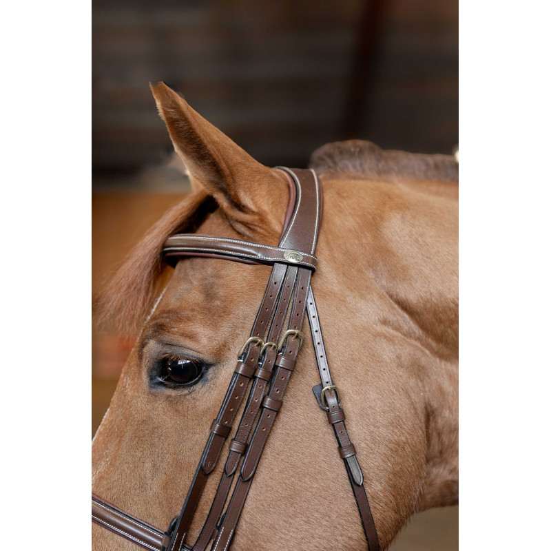 Double Jump dressage bridle  - HFI