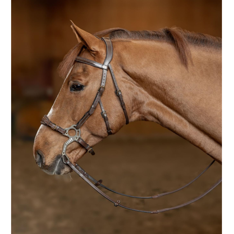 Hackamore Bridle