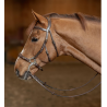 Bridon Hackamore