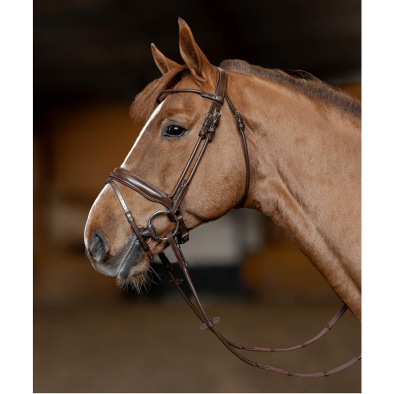 Round Bridle