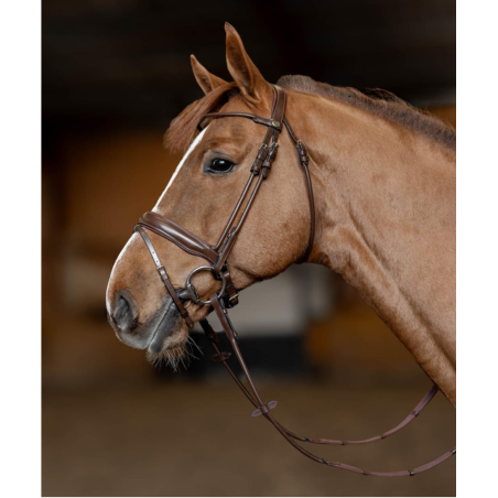 Round Bridle