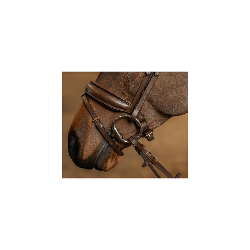 Edges Bridle
