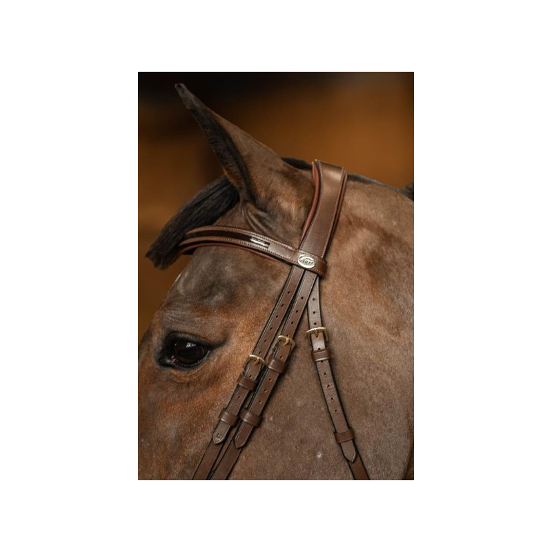 Edges Bridle