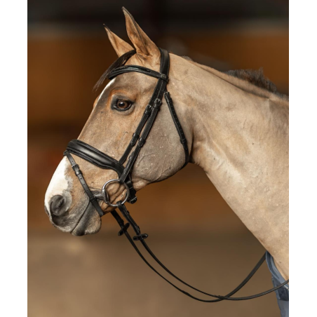 Edges Bridle