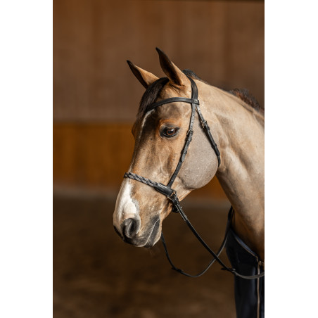 Freedom Bitless Bridle