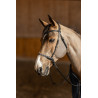 Freedom Bitless Bridle
