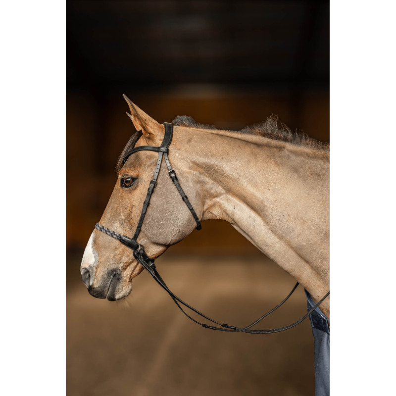 Freedom Bitless Bridle