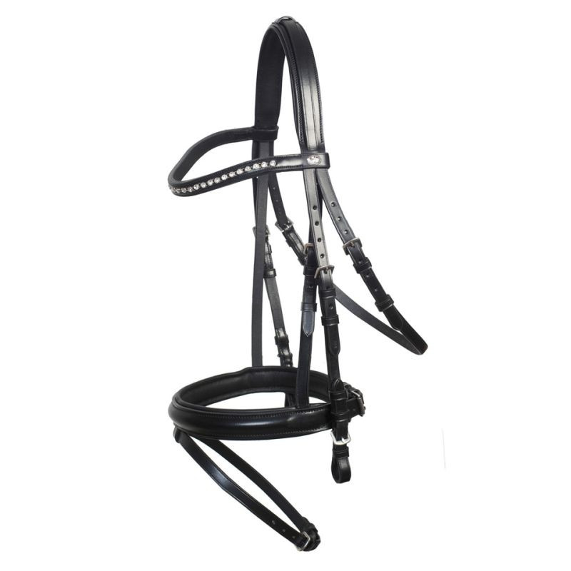 Berlin Bridle