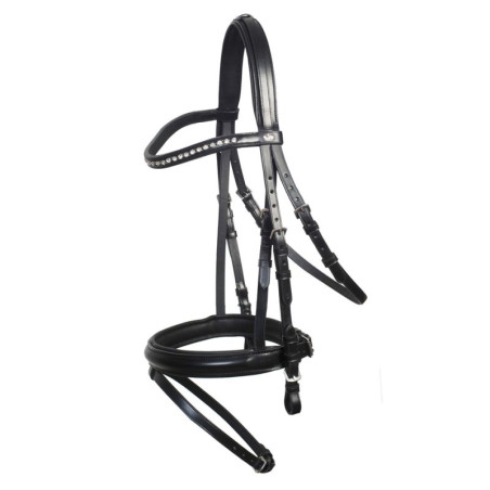Berlin Bridle
