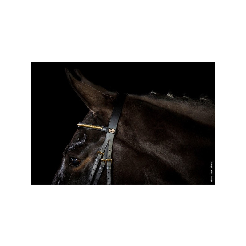 Dortmund Bridle Neo Line