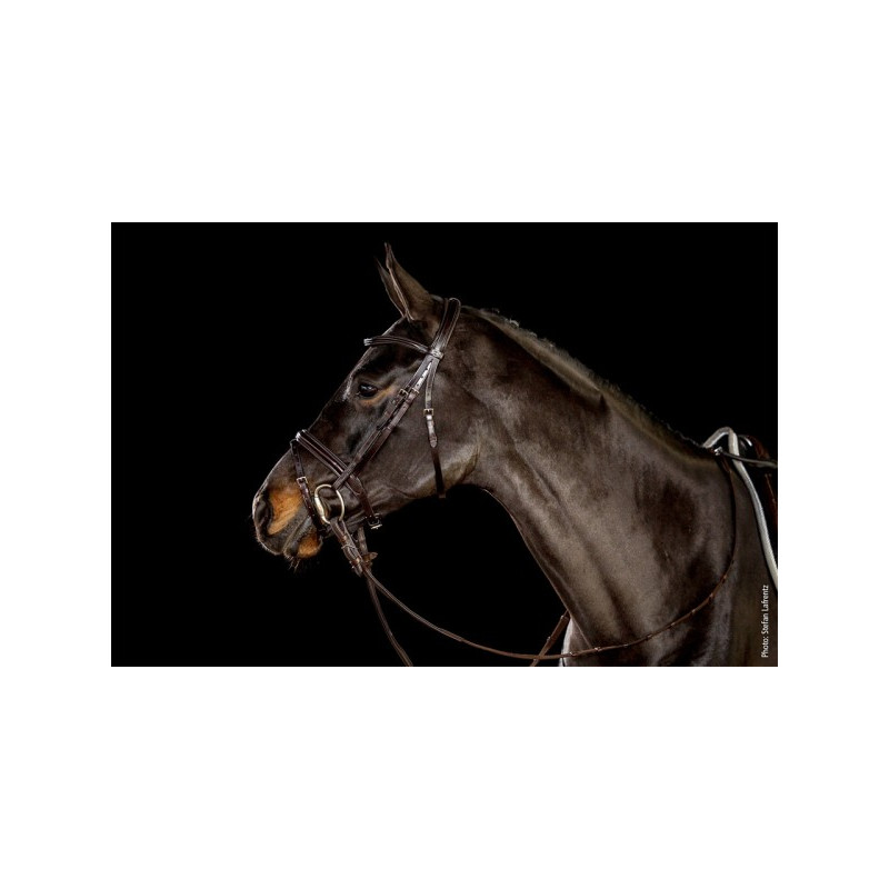 Classic Line Oxford Bridle