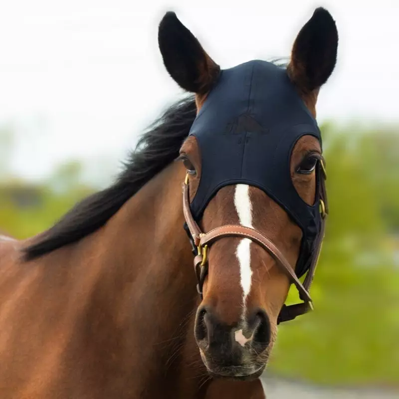 Masque en titane liquide sans oreilles Fenwick