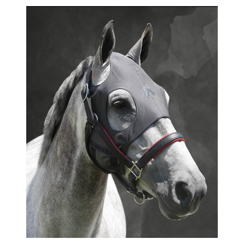 LIQUID TITANIUM MASK