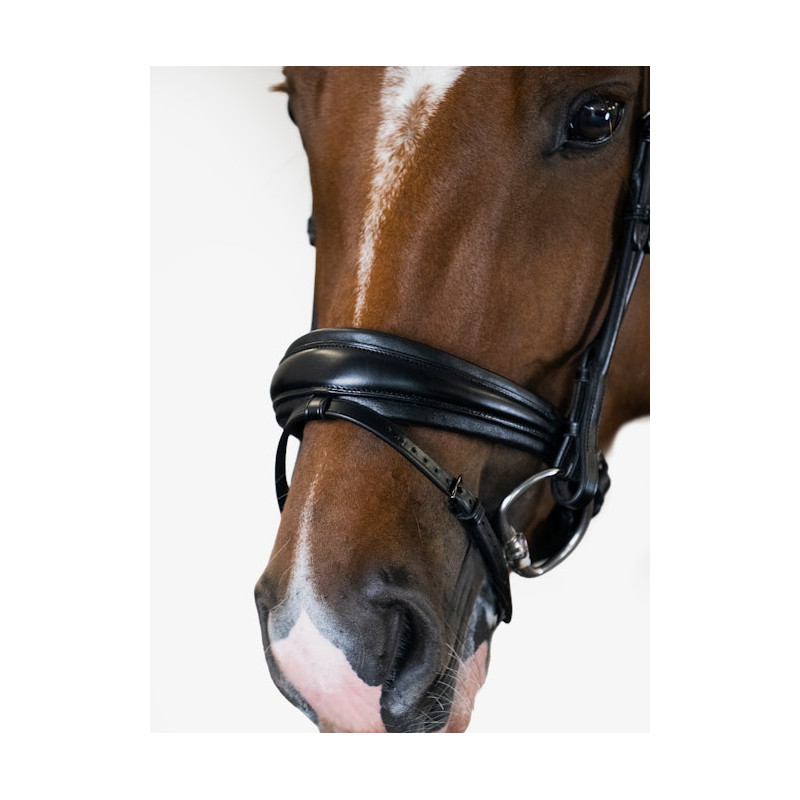 GP Bridle