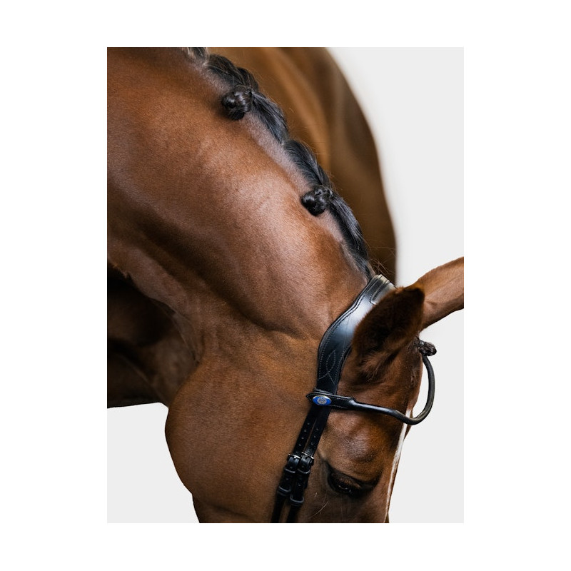 GP Bridle
