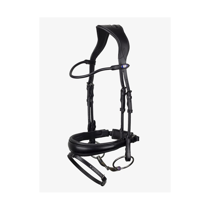 GP Bridle