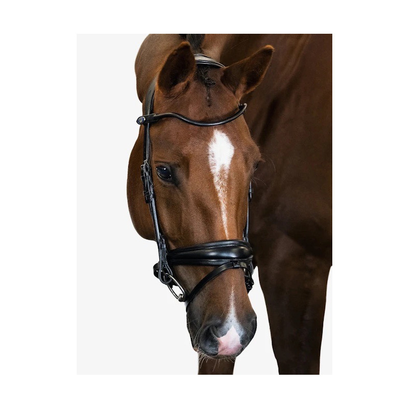 GP Bridle